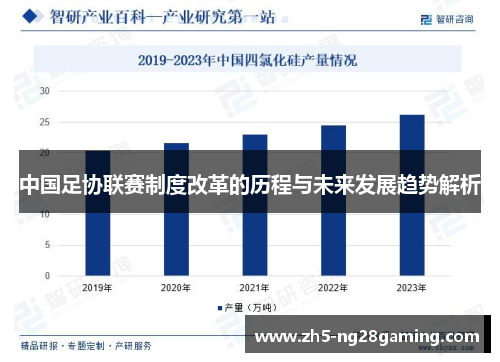 中国足协联赛制度改革的历程与未来发展趋势解析