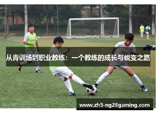 从青训场到职业教练：一个教练的成长与蜕变之路
