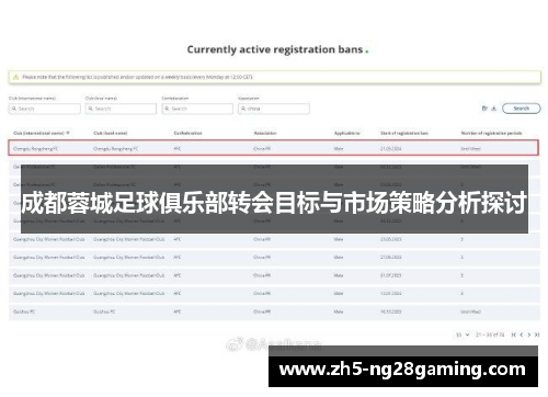 成都蓉城足球俱乐部转会目标与市场策略分析探讨