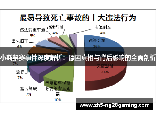 小斯禁赛事件深度解析：原因真相与背后影响的全面剖析