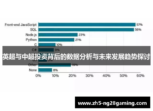 英超与中超投资背后的数据分析与未来发展趋势探讨