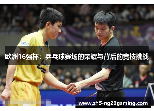 欧洲16强杯：乒乓球赛场的荣耀与背后的竞技挑战