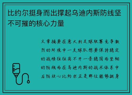 比约尔挺身而出撑起乌迪内斯防线坚不可摧的核心力量
